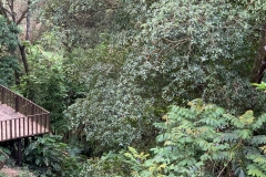 IAG_2022_41