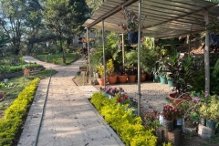 VIVERO_02_2023