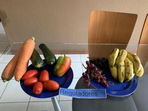 Tipos de alimentos, Andrés Cruz 3. (1)