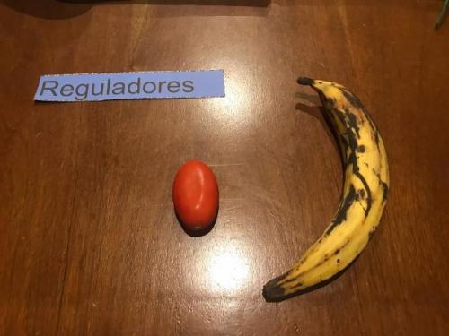 Tipos de alimentos, Camila Gamboa 2