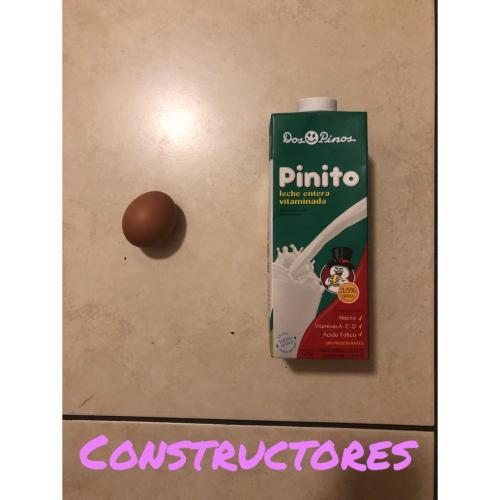 Tipos de alimentos, Camila K. 1
