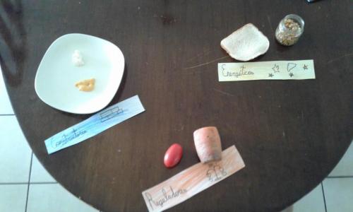Tipos de alimentos, Cecilia Hernández