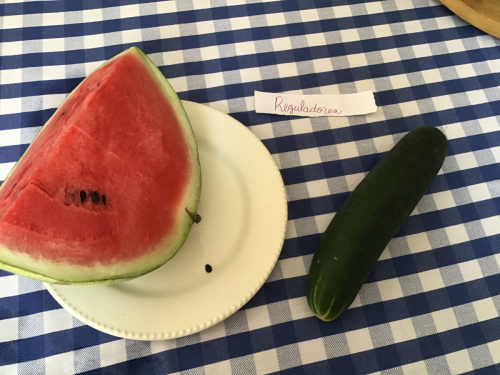 Tipos de alimentos, Crista Deleón 1 (1)