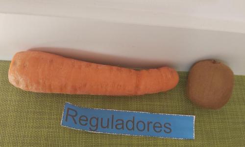 Tipos de alimentos, Cristina Cruz 3