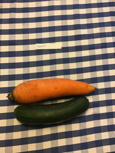 Tipos de alimentos, Erick Deleón 2.