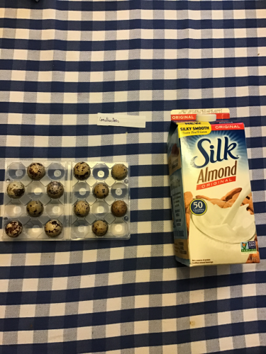Tipos de alimentos, Erick Deleón 3.