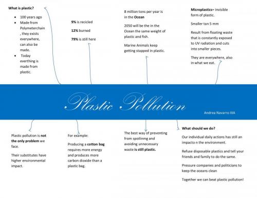 IIIA IN Andrea Sofia Navarro PosadaMind map of  plastic pollution-1