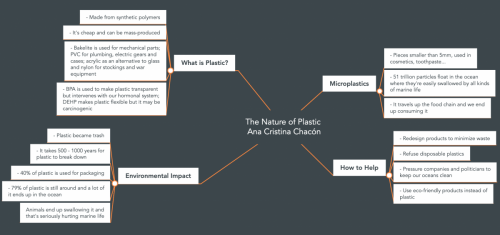 IIIA IN  Ana Cristina Chacon Mind Map PLASTIC