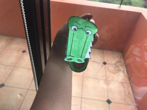 4C crocodile Camila Maria Gamboa Arevalo